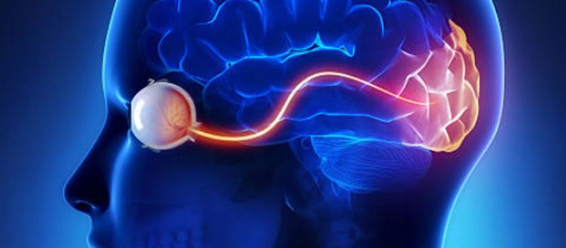 دکتر نوریت بینایی